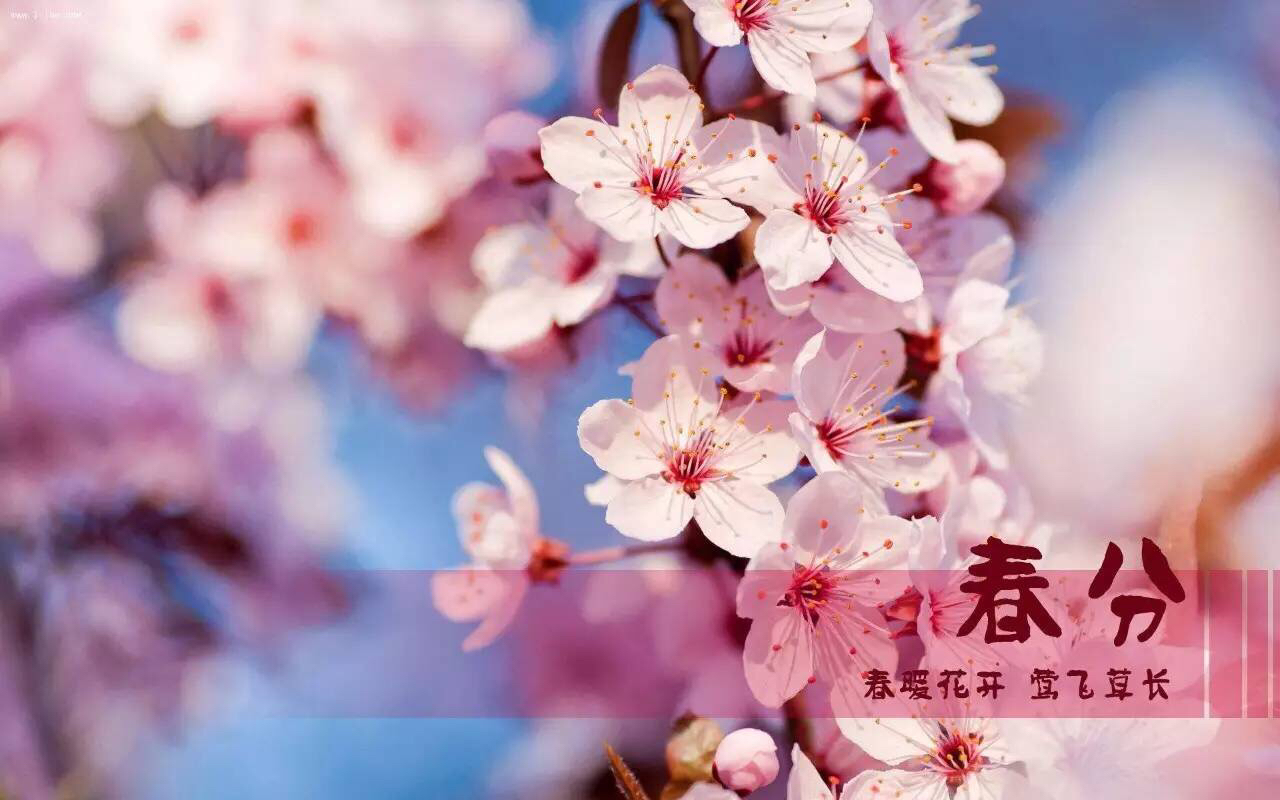 春分到，蛋兒俏!|春分立蛋，這么好玩的游戲，你get到了嗎？